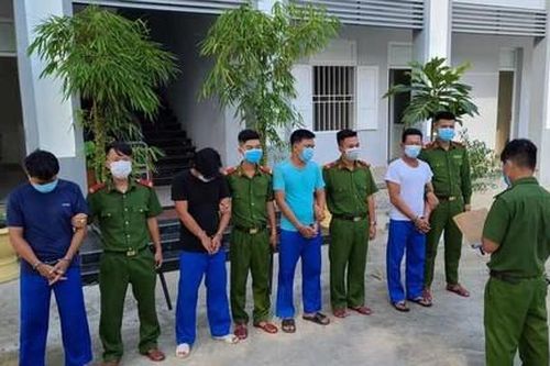 Bắt nhóm trộm lan đột biến 'Kiếm Xanh Huế' trị giá 1 tỷ đồng