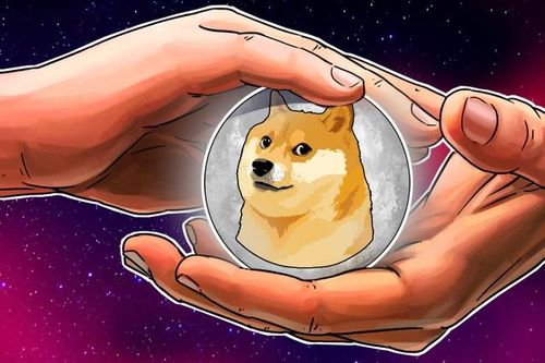 Mất ngôi triệu phú vì Dogecoin sụt giá, nhà đầu tư trẻ vẫn lạc quan