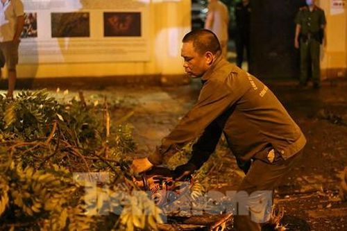 Xuyên đêm thu dọn hàng loạt cây đổ khắp phố phường Hà Nội sau mưa giông