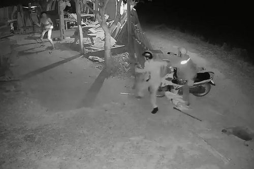 Trộm chó hung hãn chống trả chủ nhà ở Nghệ An