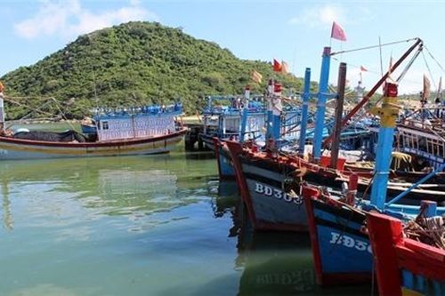 Bình Định đề nghị loại 2 cảng biển khỏi quy hoạch quốc gia