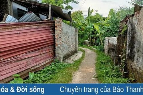 'Ốc đảo' giữa lòng thành phố