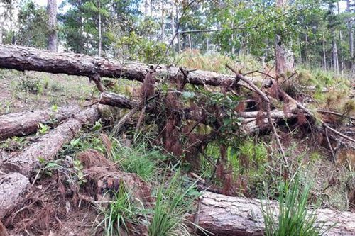 Lâm Đồng thu hồi toàn bộ diện tích đất tại Khu nghỉ dưỡng - sân golf Đà Lạt