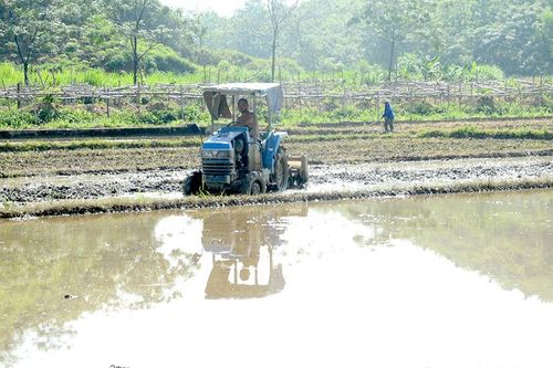 Nắng nóng làm mùa vẫn đúng thời vụ