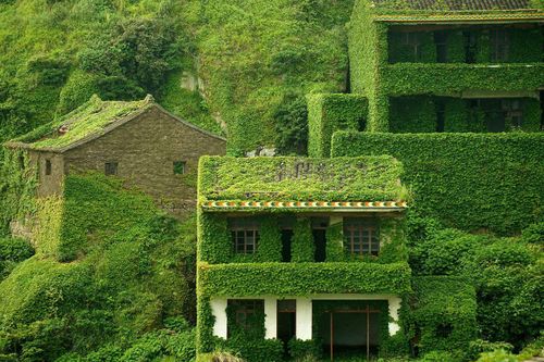 Thiên nhiên phủ xanh địa điểm bị bỏ hoang