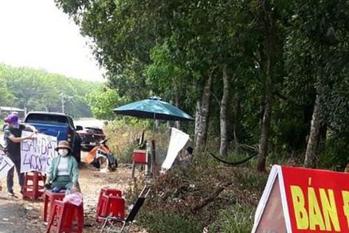 Bộ Xây dựng lại thúc các địa phương báo cáo xử lý hiện tượng giá đất tăng nóng