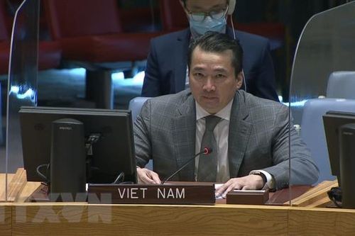 Kêu gọi giải quyết thách thức an ninh, nhân đạo ở CH Trung Phi, Syria