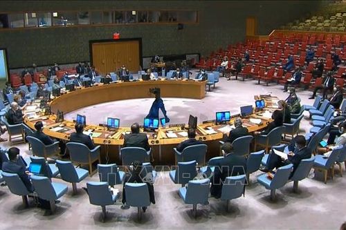 Việt Nam kêu gọi giải quyết thách thức an ninh, nhân đạo tại CH Trung Phi và Syria
