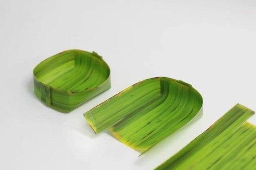 Loại lá ở Việt Nam cho không ai lấy nhưng có giá khủng khi 'lên sàn'