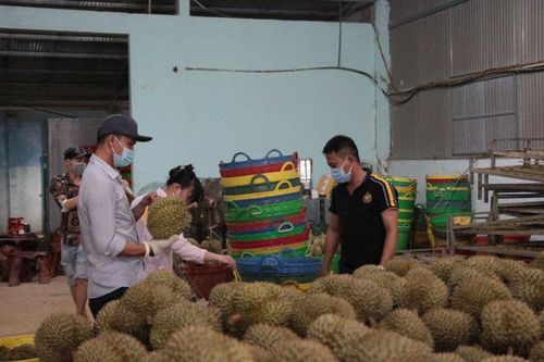 Bảo Lâm: Phát triển các mô hình liên kết sản xuất trong nông nghiệp