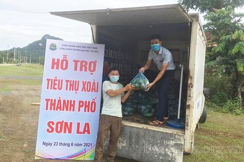 Công đoàn Trường Đại học Tây Bắc hỗ trợ tiêu thụ nông sản cho nông dân