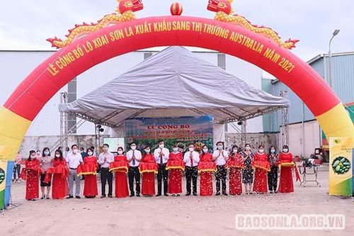 Lễ Công bố văn bằng bảo hộ nhãn hiệu 'Xoài Sơn La' và lô xoài Sơn la xuất khẩu sang thị trường Australia năm 2021