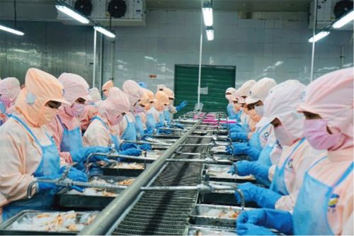 'Vua tôm' Minh Phú gặp khó tại thị trường Mỹ