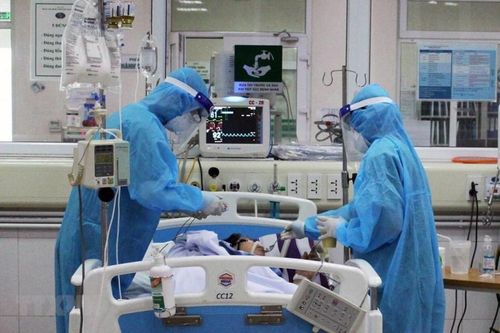 TP.HCM: Hơn 30 bệnh nhân mắc Covid-19 diễn biến nặng, có 6 người phải chạy ECMO