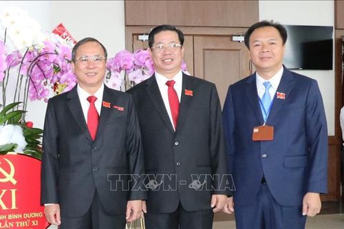 Bình Dương: Hai cán bộ không được xác nhận tư cách đại biểu HĐND