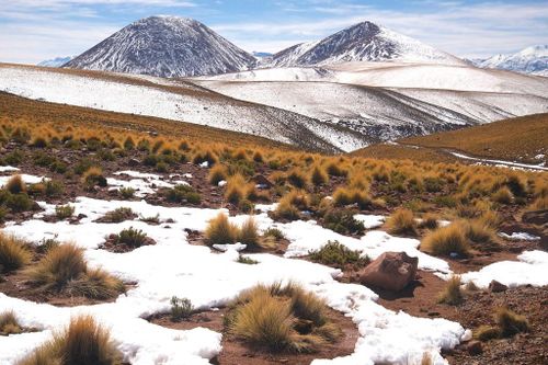 Chile giải cứu 27 người di cư mắc kẹt trong tuyết trên dãy núi Andes