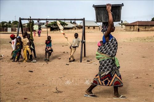 UNDP: Xung đột kéo dài tại Đông Bắc Nigeria có thể khiến hơn 1 triệu trẻ thiệt mạng