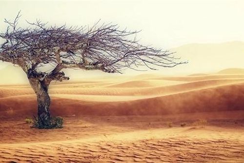 WB cam kết 'tài trợ ở mức kỷ lục' chống biến đổi khí hậu