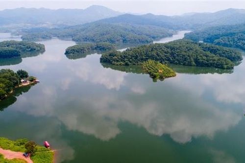 Lục Ngạn không chỉ có vải thiều