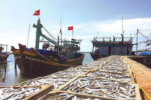 Lối mở từ biển