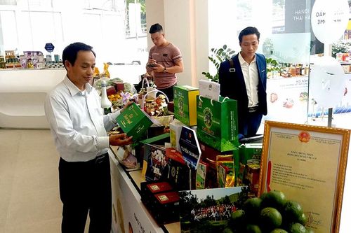 Xây dựng và phát triển thương hiệu: 'Bệ phóng' cho nông sản chủ lực vươn xa
