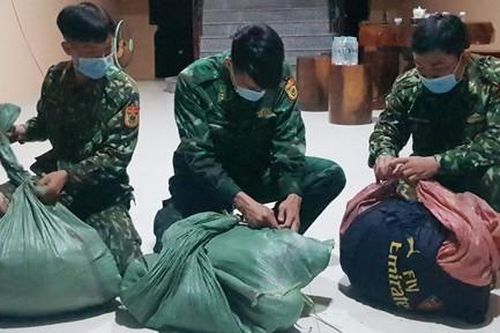 BĐBP mật phục bắt giữ 20kg cần sa vượt biên giới trong đêm
