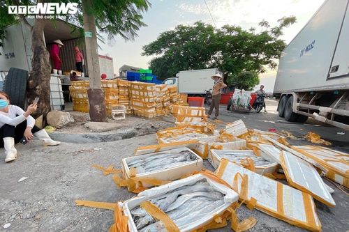 Tiểu thương bật khóc vì đặc sản rớt giá, làm thức ăn chăn nuôi