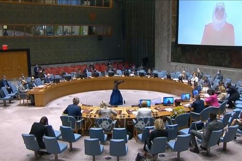 Việt Nam kêu gọi duy trì hỗ trợ nhân đạo cho Syria trong bối cảnh tiến trình chính trị bế tắc