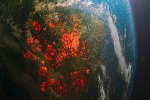 Vùng đất băng giá Siberia nóng đột biến 48 độ C
