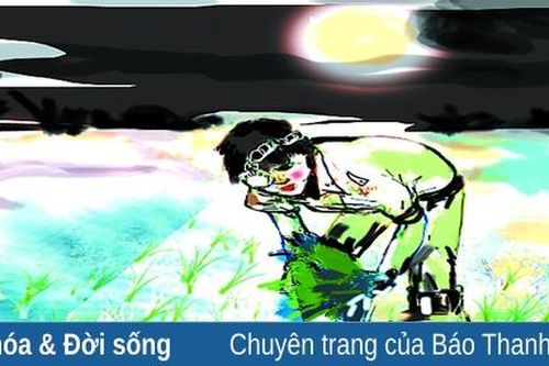 Cấy lúa đêm