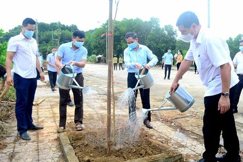 Huyện Yên Sơn phát động hưởng ứng Chương trình trồng 1 tỷ cây xanh
