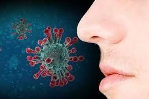 Mất khứu giác phục hồi ở hầu hết những người sống sót sau COVID-19