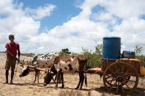Hơn một triệu người dân Madagascar đang trên bờ vực của nạn đói