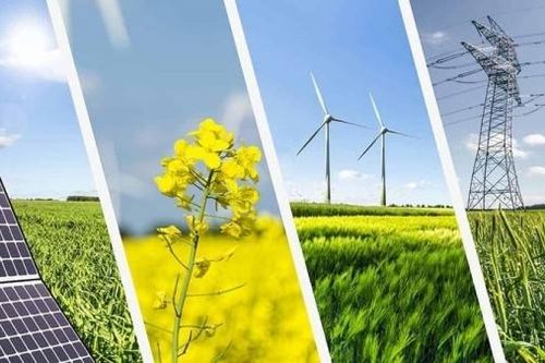 Ấn Độ: Reliance Industries lên kế hoạch đầu tư năng lượng sạch