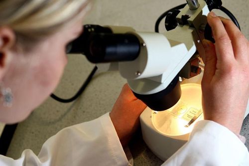 Tiết lộ mới về thời điểm virus Corona xuất hiện ở Đông Á