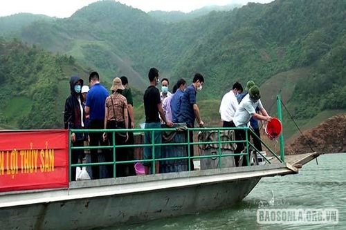 Mường La: Thả hơn 2 tấn cá giống tái tạo nguồn lợi thủy sản trên lòng hồ thủy điện Sơn La