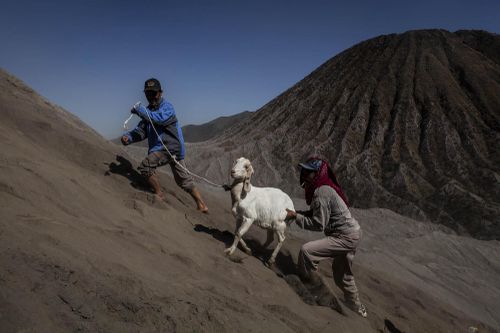 Người Indonesia ném gia súc, lễ vật xuống miệng núi lửa để hiến tế