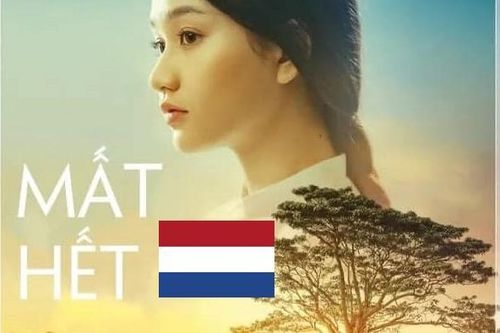 Cười 'đau bụng' với ảnh chế ĐT Hà Lan dừng bước