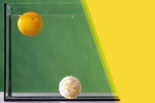 Vì sao quả cam không chìm trong nước?