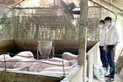 Quỹ TDND Hưng Long hỗ trợ sản xuất trong mùa dịch