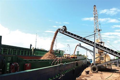 Phóng sự ảnh: Nhịp điệu công trường