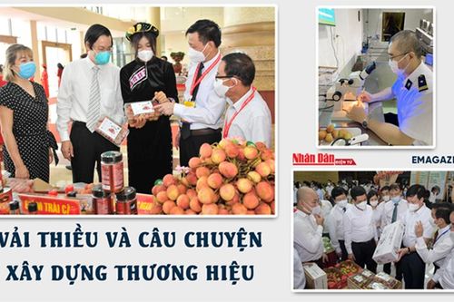 Vải thiều và câu chuyện xây dựng thương hiệu