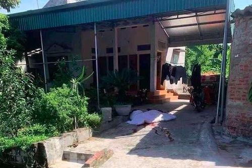 Níu tình bất thành, kẻ nghiện xuống tay sát hại bố mẹ vợ và vợ