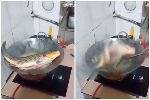 'Giật thót tim' với màn rán cá quẫy mạnh như vẫn còn sống