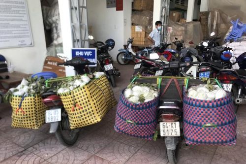 Vĩnh Long: Thuốc lá nhập lậu được ngụy trang trong các giỏ đựng trái cây