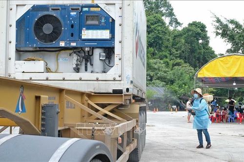 Cần sớm có biện pháp bảo vệ lái xe tải đường dài