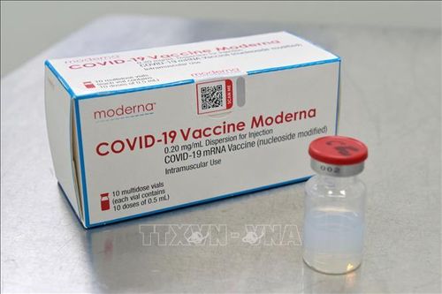 Ấn Độ cấp phép sử dụng khẩn cấp vaccine của Moderna