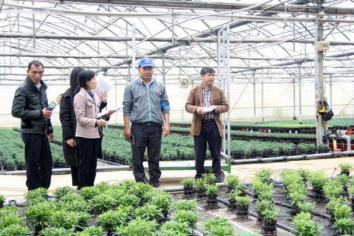 10 doanh nghiệp nhập khẩu giống cây trồng có bản quyền