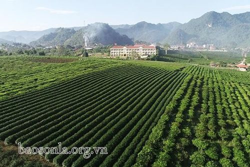 Quy hoạch xây dựng vùng liên huyện, tạo động lực thúc đẩy phát triển KT-XH