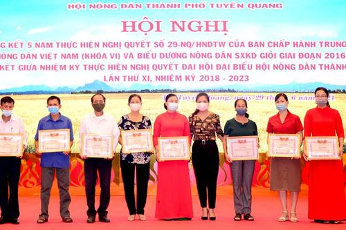 Khen thưởng 47 tập thể, cá nhân trong phong trào Nông dân thi đua sản xuất kinh doanh giỏi